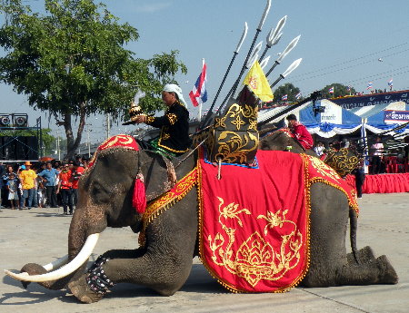 แสดงช้าง